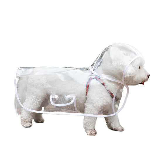 Chubasquero Transparente Ligero para Perro