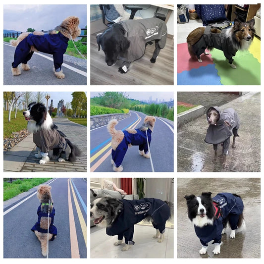 Chubasquero de Cuerpo Completo para Perros Medianos y Grandes