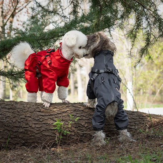 Chubasquero Reflectante con Arnés Integrado para Perro