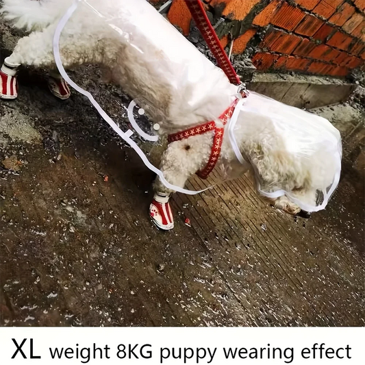 Impermeable Transparente para Perros – Chaqueta para Días Lluviosos