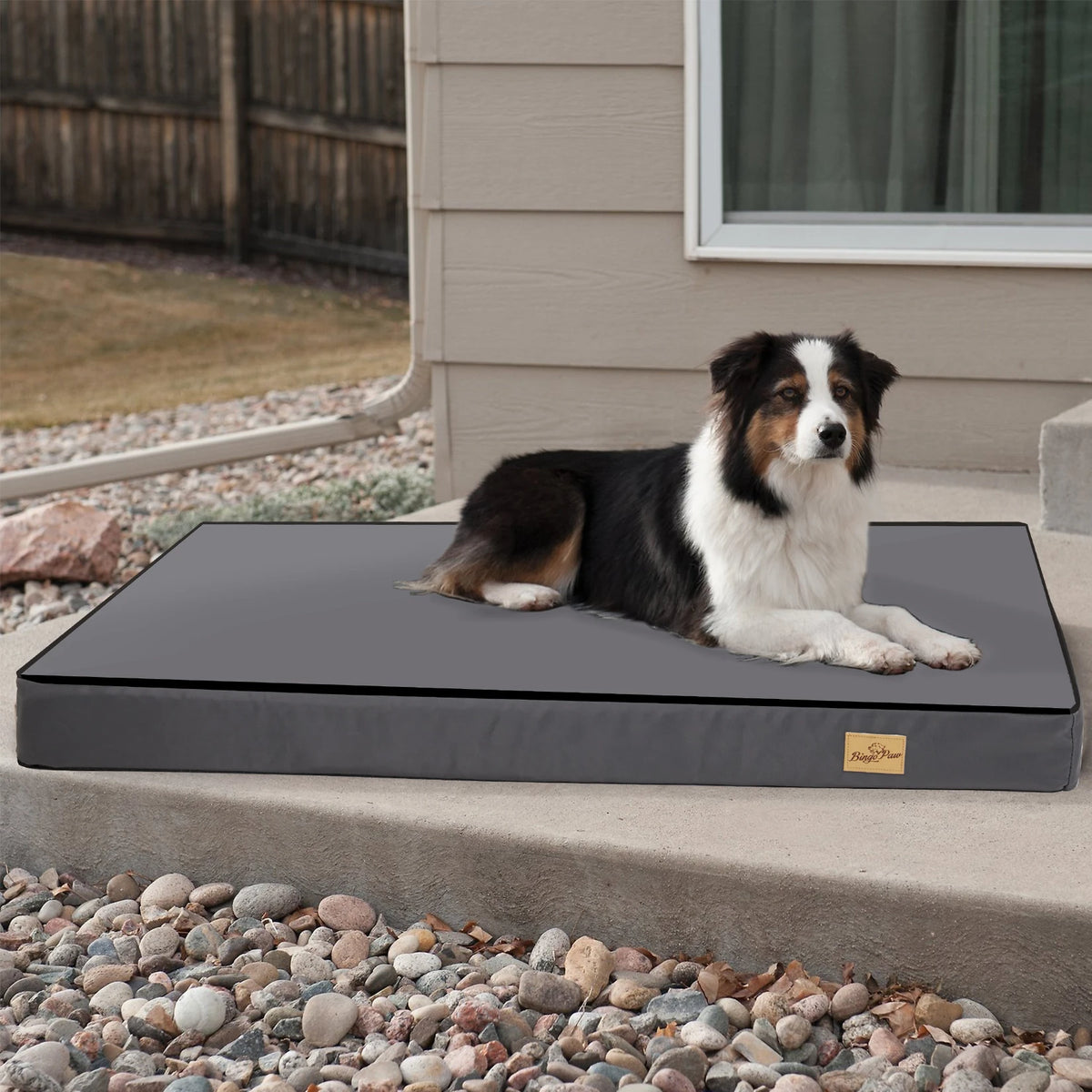 Cama de Espuma para Perros – Lavable, Impermeable y Cómoda