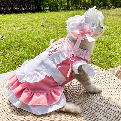 Vestido para Mascotas – Volante Azul, Ideal para Halloween y Fiestas