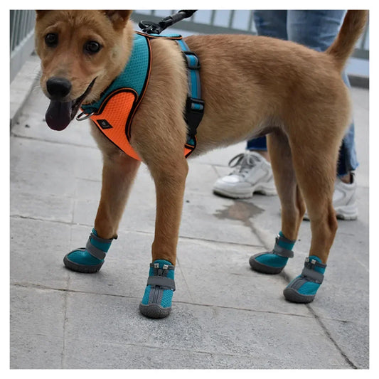 Botas de Malla para Perro con Suela Antideslizante y Detalles Reflectantes