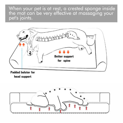 Cama Ortopédica Premium para Perros Grandes y Extra Grandes