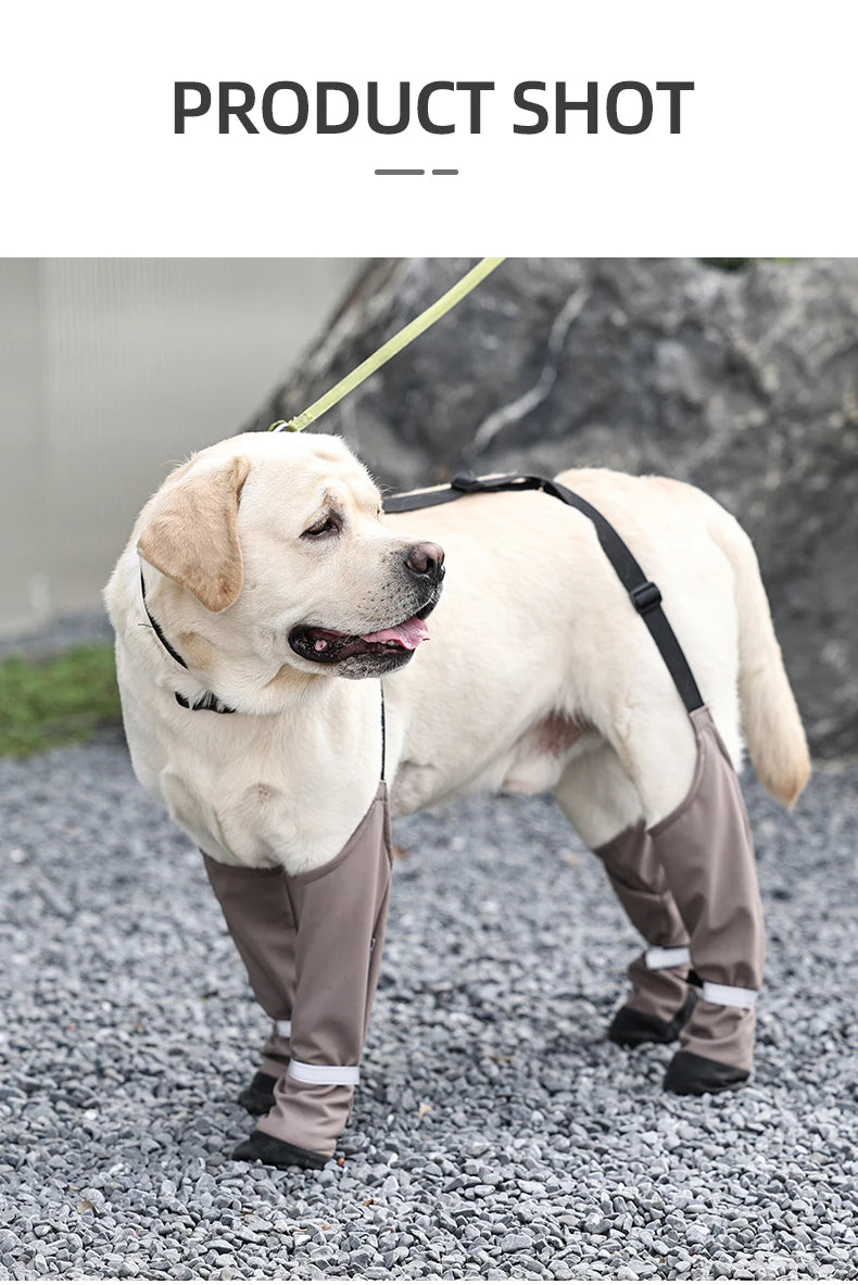 Botas Antideslizantes para Perro con Correas de Sujeción