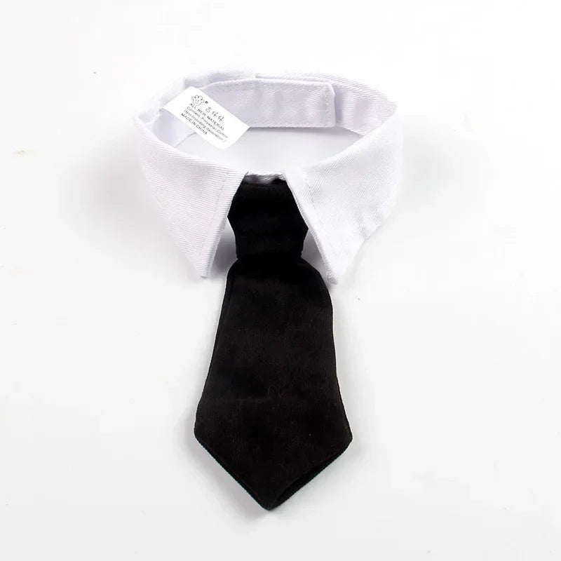Corbata Formal para Perro y Gato – Collar Elegante para Halloween, Bodas y Fiestas