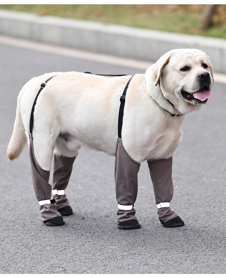 Botas Antideslizantes para Perro con Correas de Sujeción
