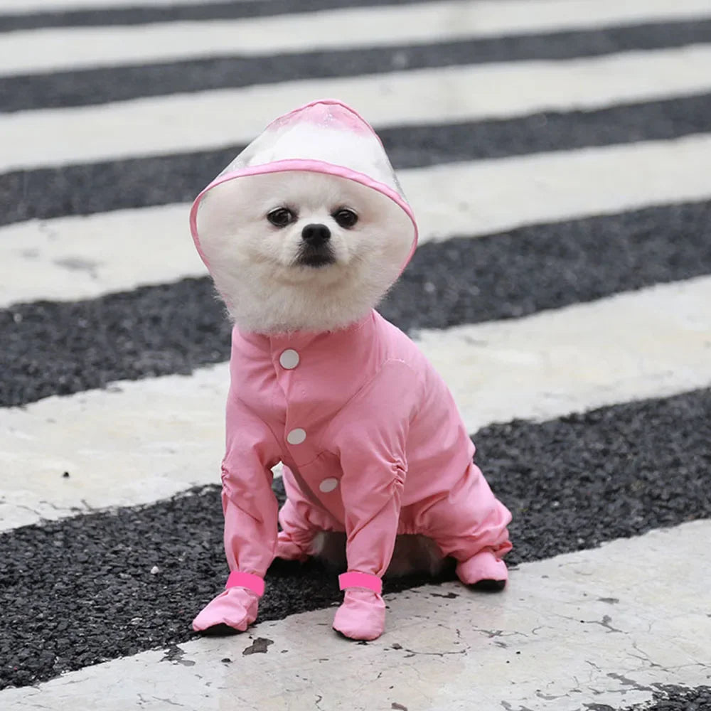 Chubasquero traje para Perro con Capucha y Botas para Lluvia y Frío