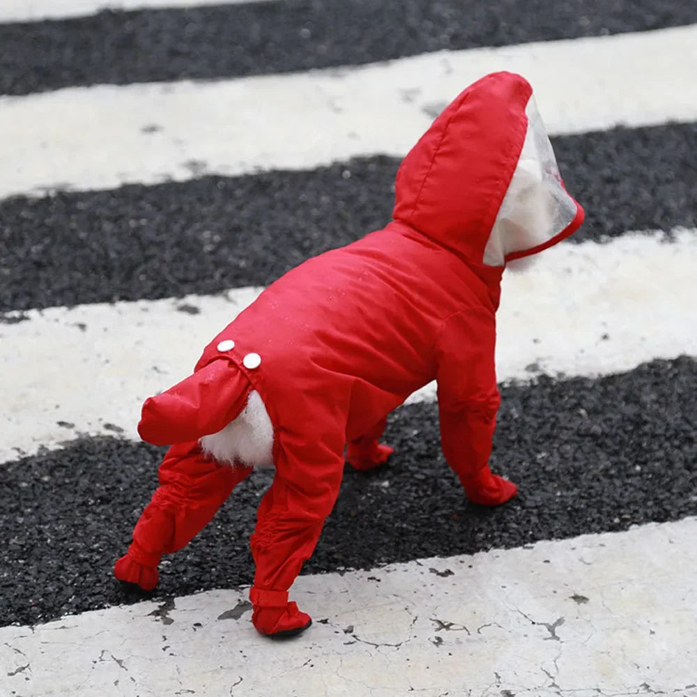 Chubasquero traje para Perro con Capucha y Botas para Lluvia y Frío