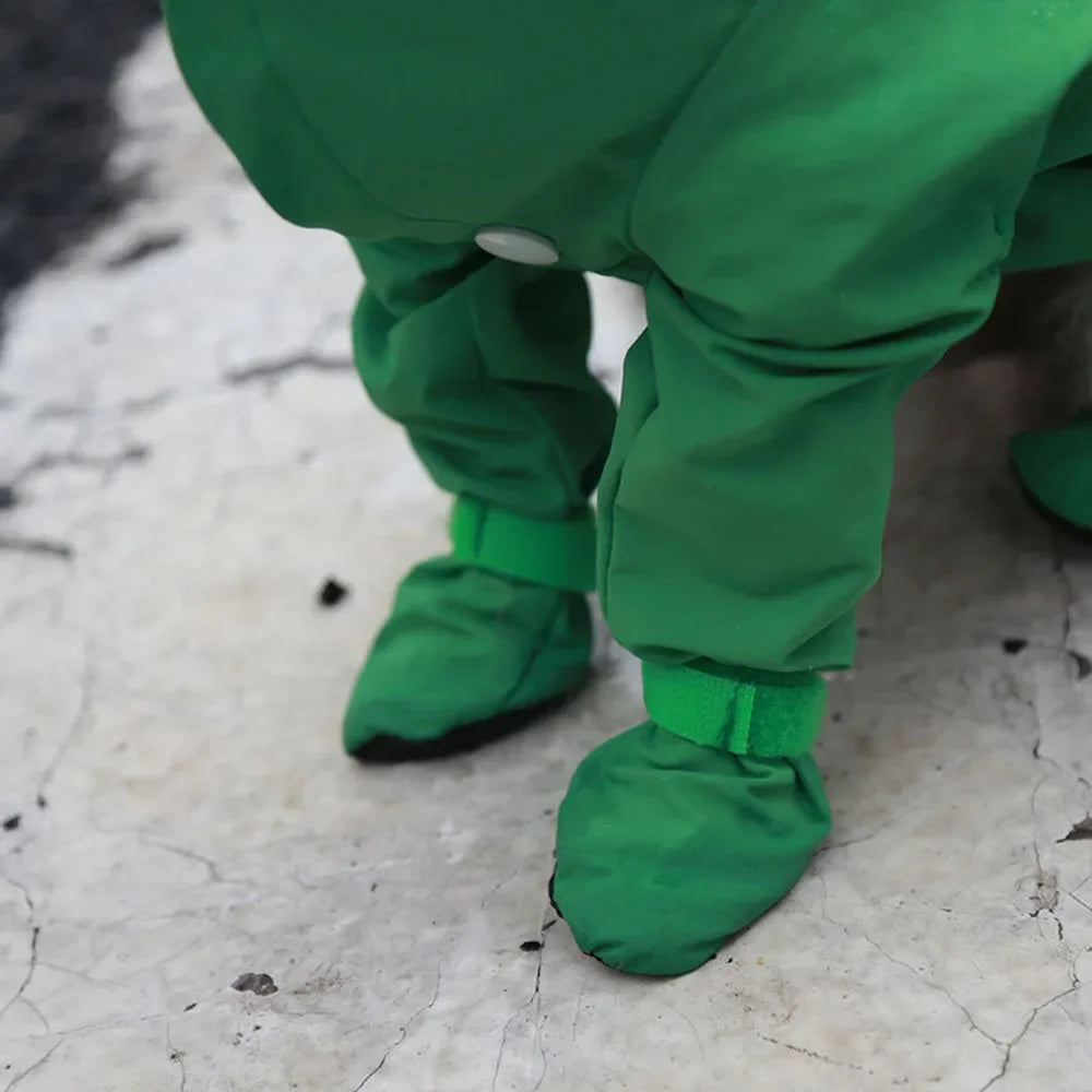 Chubasquero traje para Perro con Capucha y Botas para Lluvia y Frío