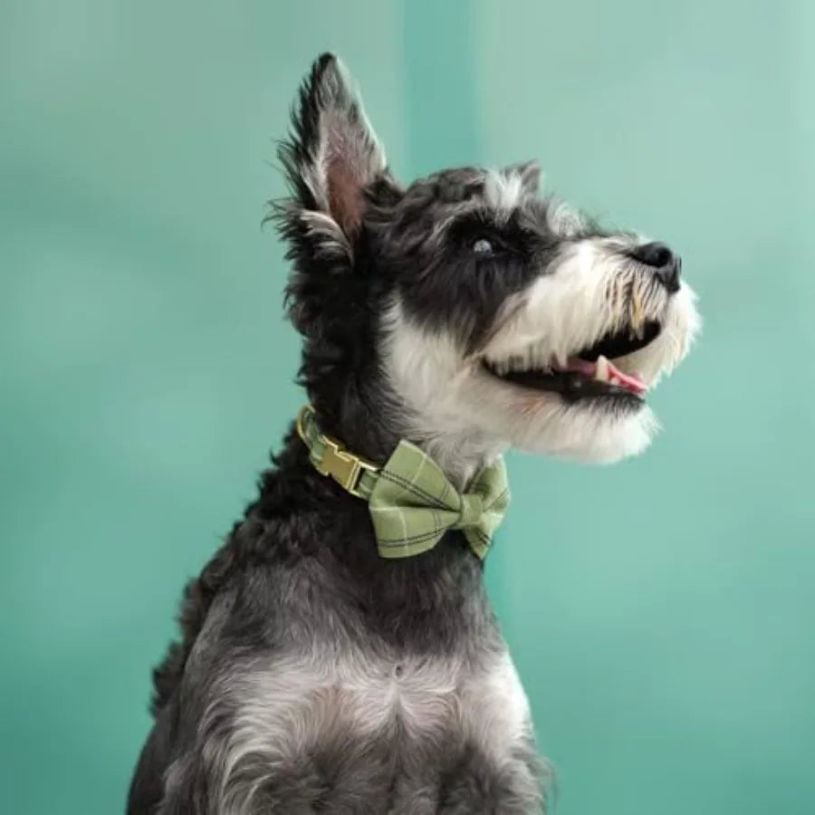 Arnés, collar y correa para mascotas pequeños con pajarita de poliéster suave y ajustable