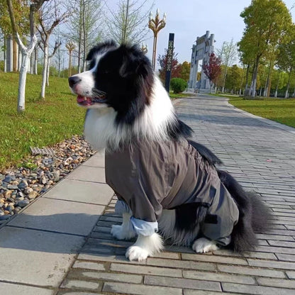 Chubasquero de Cuerpo Completo para Perros Medianos y Grandes