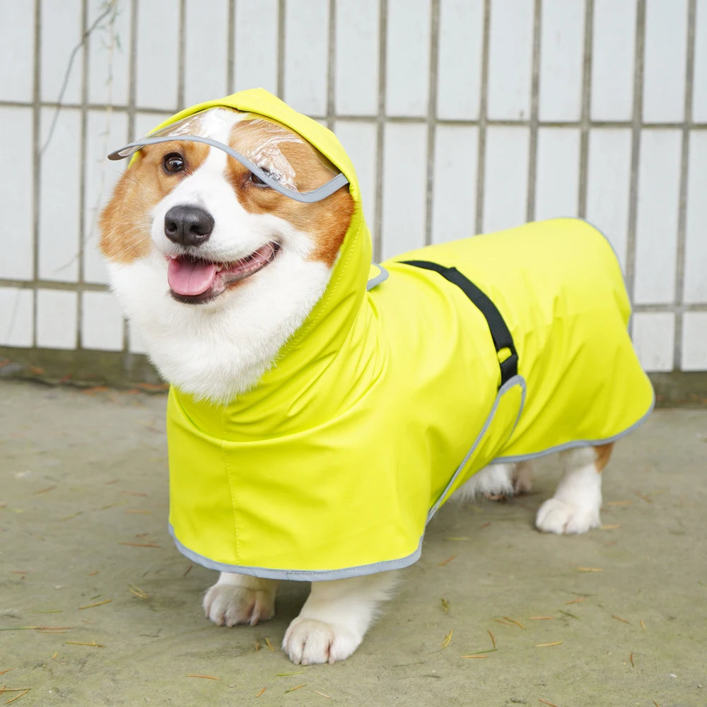 Chubasquero Verde Fluorescente con Capucha para Perros