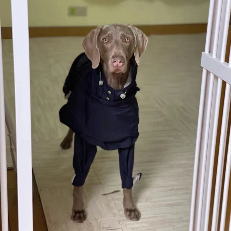 Chubasquero de Cuerpo Completo para Perros Medianos y Grandes