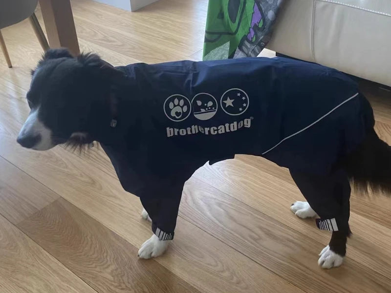 Chubasquero de Cuerpo Completo para Perros Medianos y Grandes