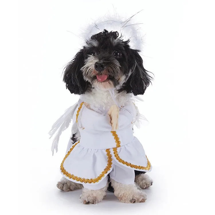 Disfraces de Halloween para Perros - Vampiro, Murciélago, Bufón y Más