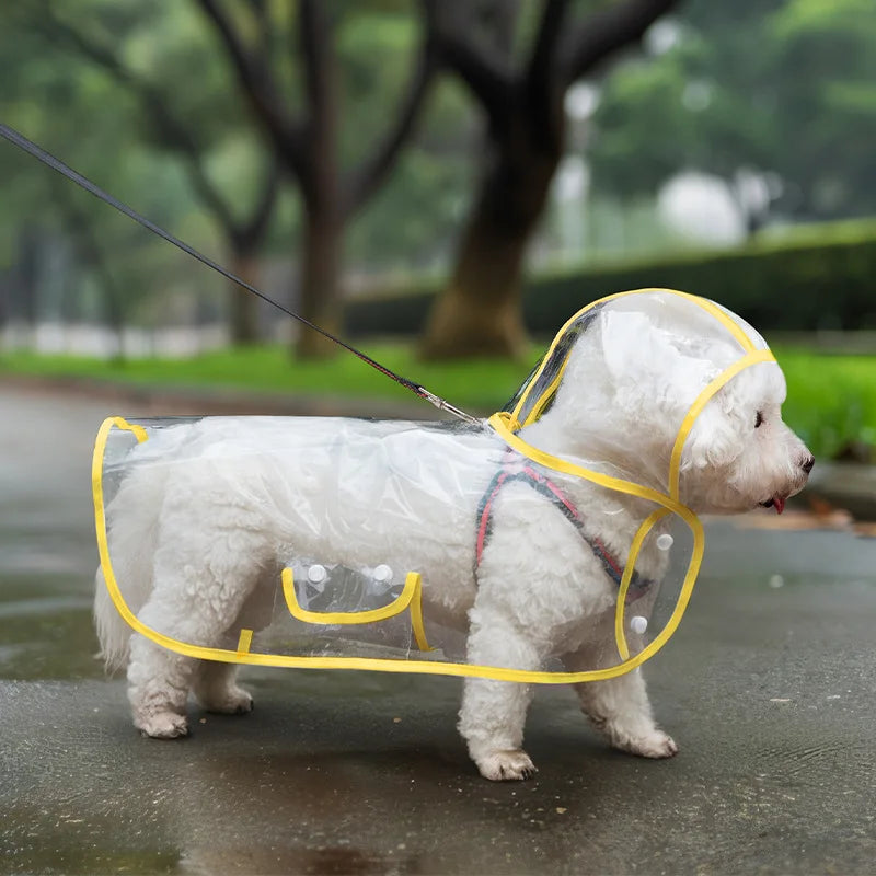 Chubasquero Transparente Ligero para Perro