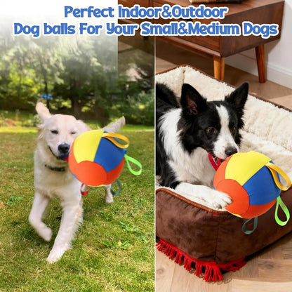 Pelota Interactiva para Perros – Juguete de Ejercicio al Aire Libre con Asas