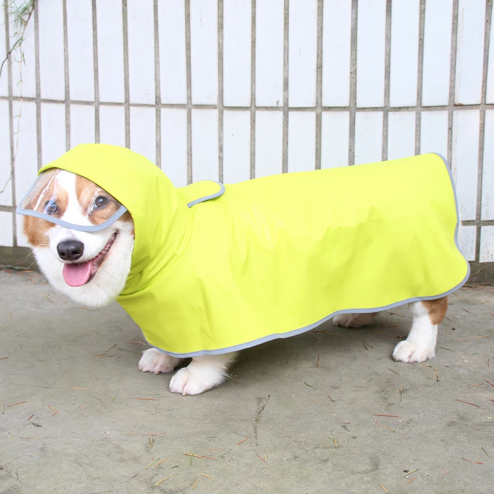 Chubasquero Verde Fluorescente con Capucha para Perros