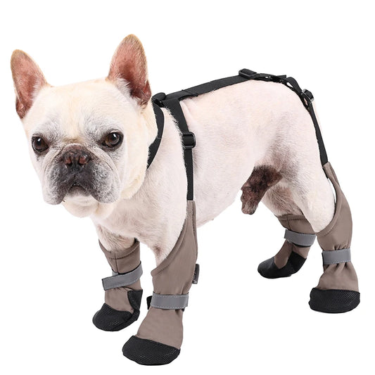 Botas Antideslizantes para Perro con Correas de Sujeción