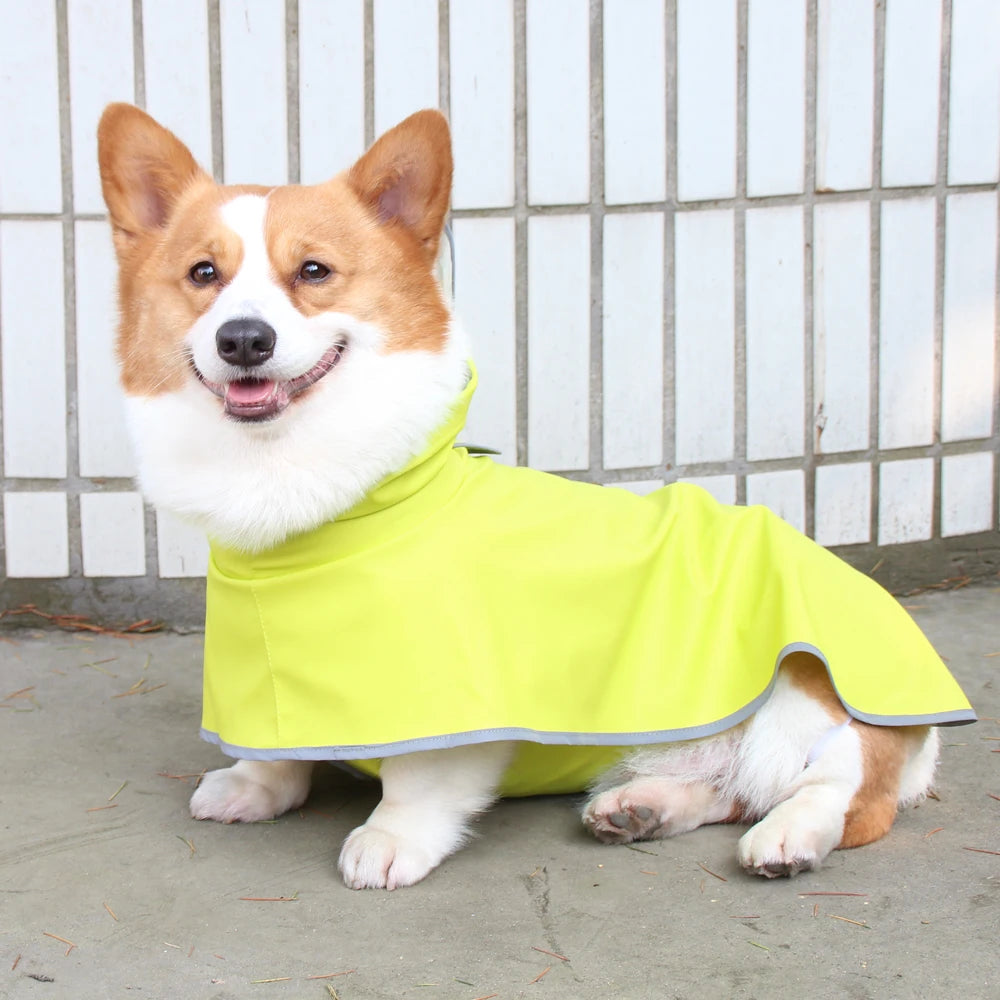 Chubasquero Verde Fluorescente con Capucha para Perros