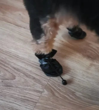 Botas Protectoras Antideslizantes para Perros – Juego de 4