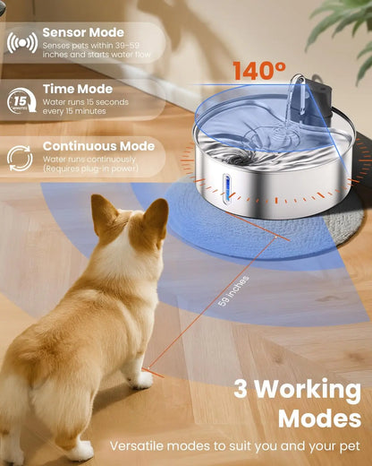Fuente de Agua Inteligente para Perros y con sensor