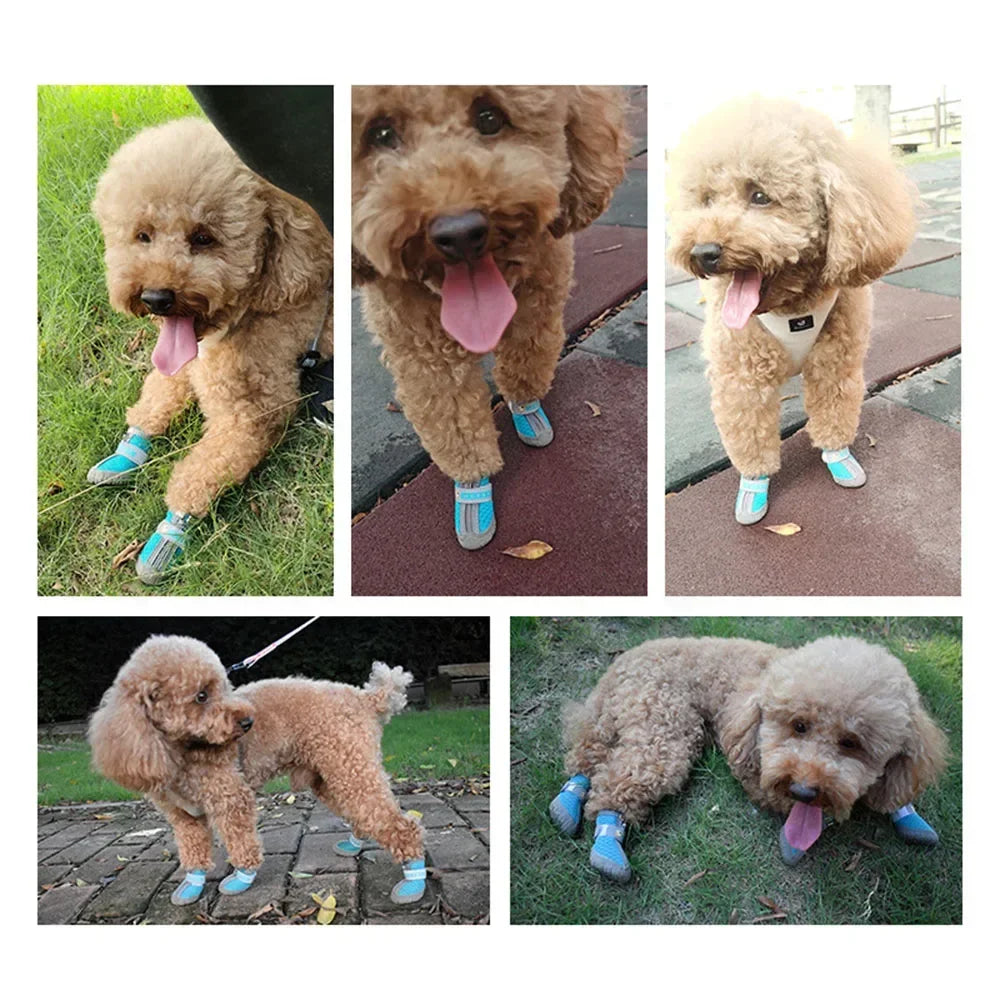Botas de Malla para Perro con Suela Antideslizante y Detalles Reflectantes