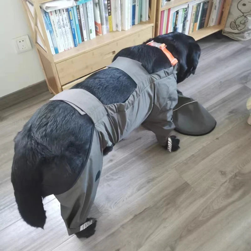 Chubasquero de Cuerpo Completo para Perros Medianos y Grandes