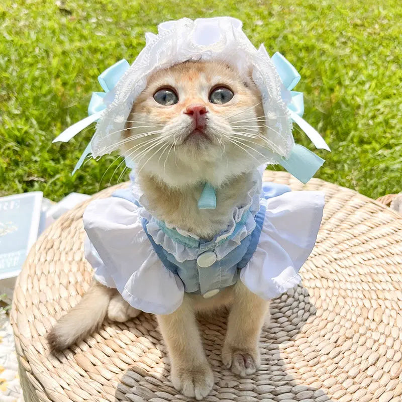 Vestido para Mascotas – Volante Azul, Ideal para Halloween y Fiestas