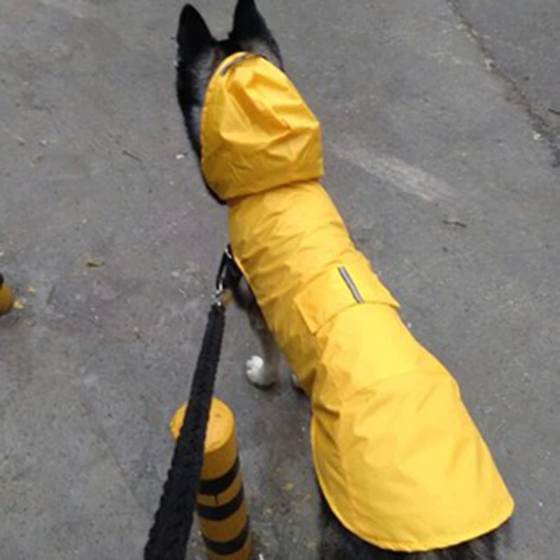 Chubasquero con Capucha para Perros de S a 6XL