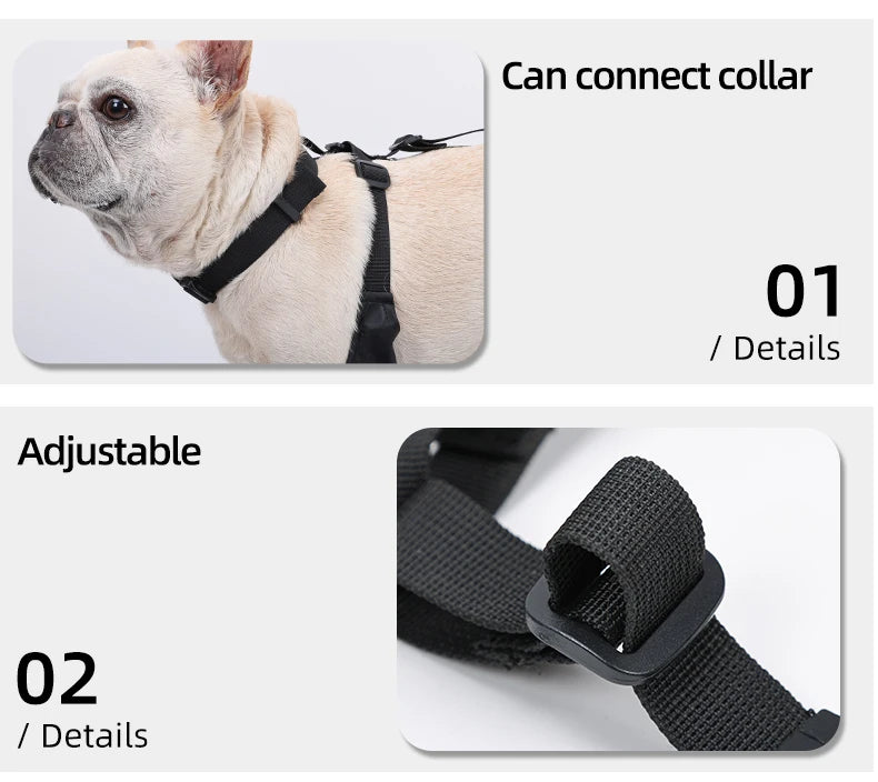 Botas Antideslizantes para Perro con Correas de Sujeción