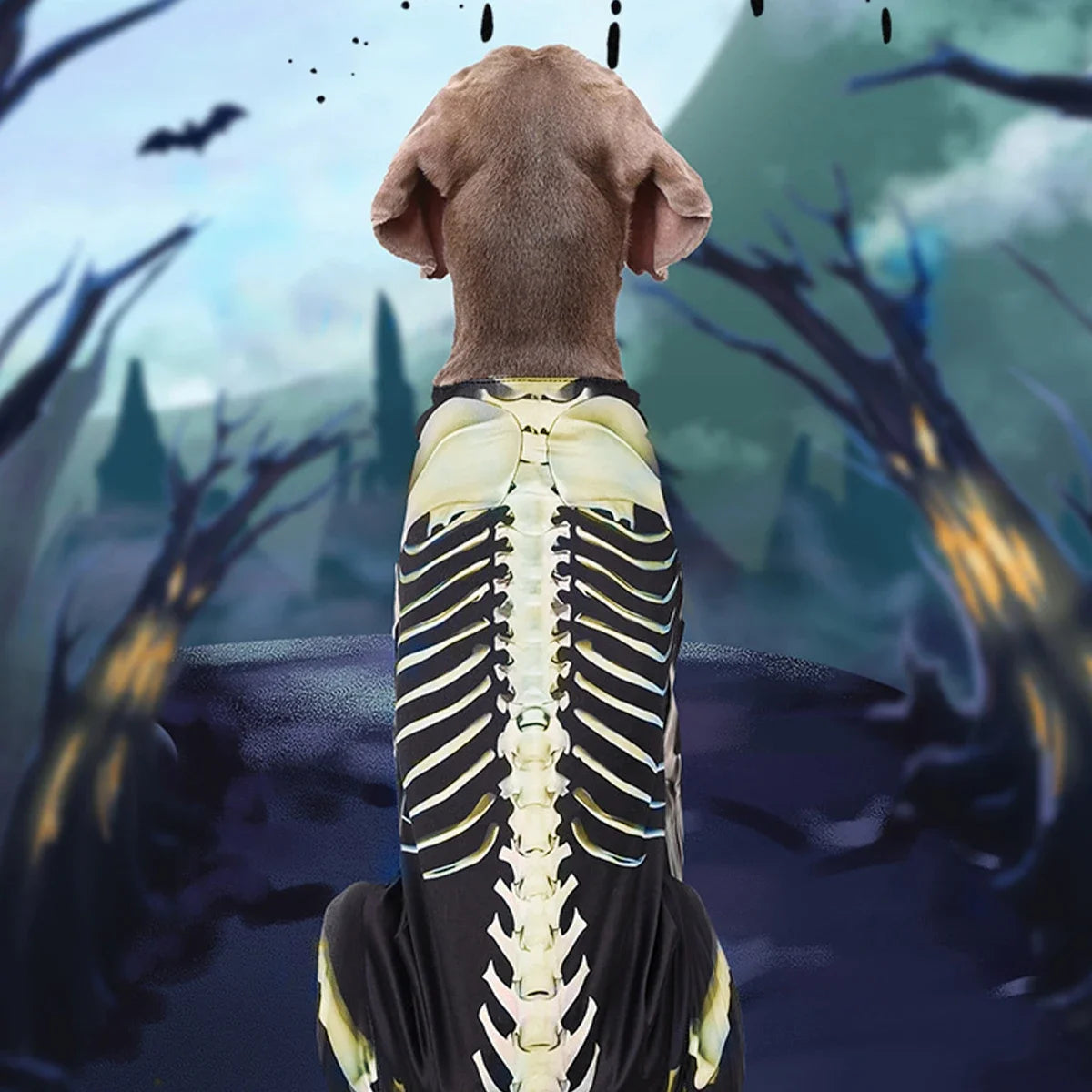 Disfraz de Esqueleto para Perro – Traje de Halloween
