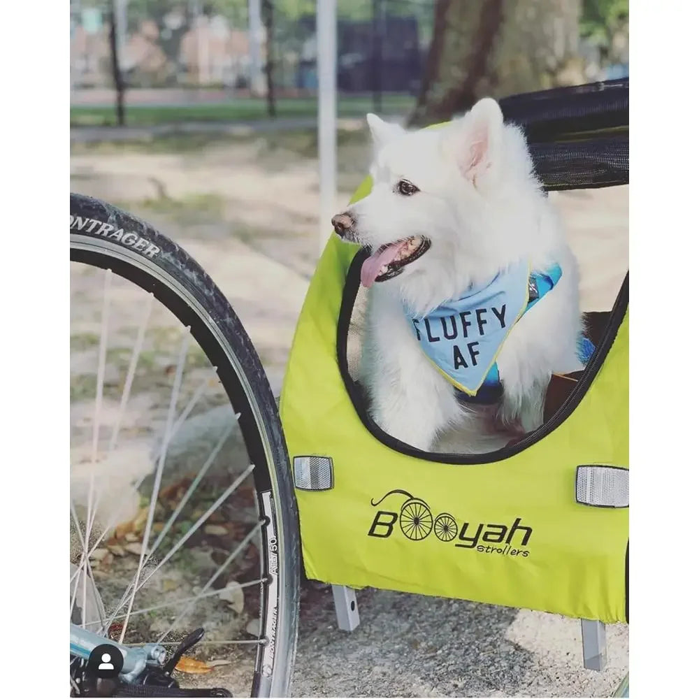 Carrito y remolque para bicicleta con suspensión, para perros máximo 40 libras