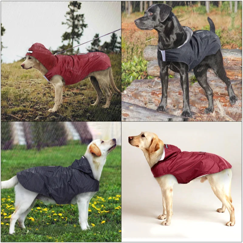 Chubasquero con Capucha para Perros de S a 6XL