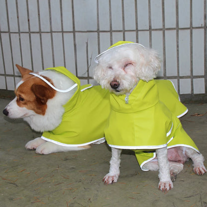 Chubasquero Verde Fluorescente con Capucha para Perros