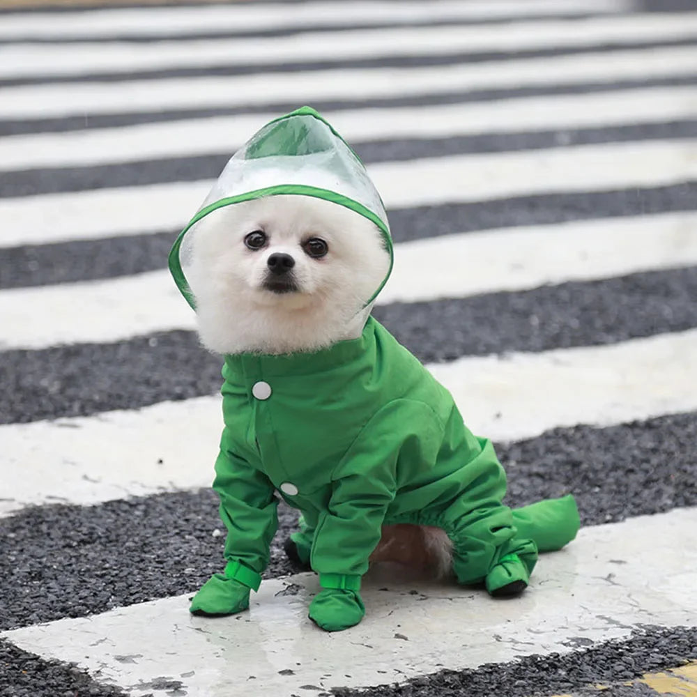 Chubasquero traje para Perro con Capucha y Botas para Lluvia y Frío