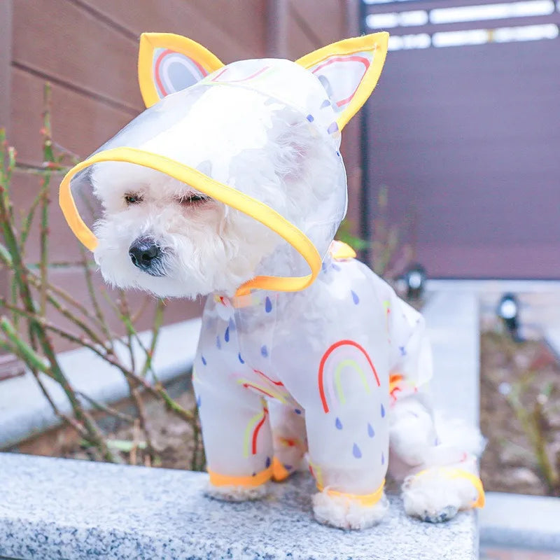 Chubasquero Transparente con Capucha para Perro Pequeño
