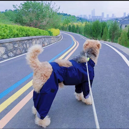 Chubasquero de Cuerpo Completo para Perros Medianos y Grandes