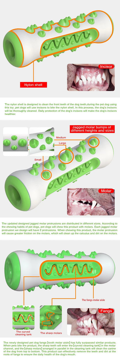 Juguete Dental de Goma para Perros – Cepillo Masticable