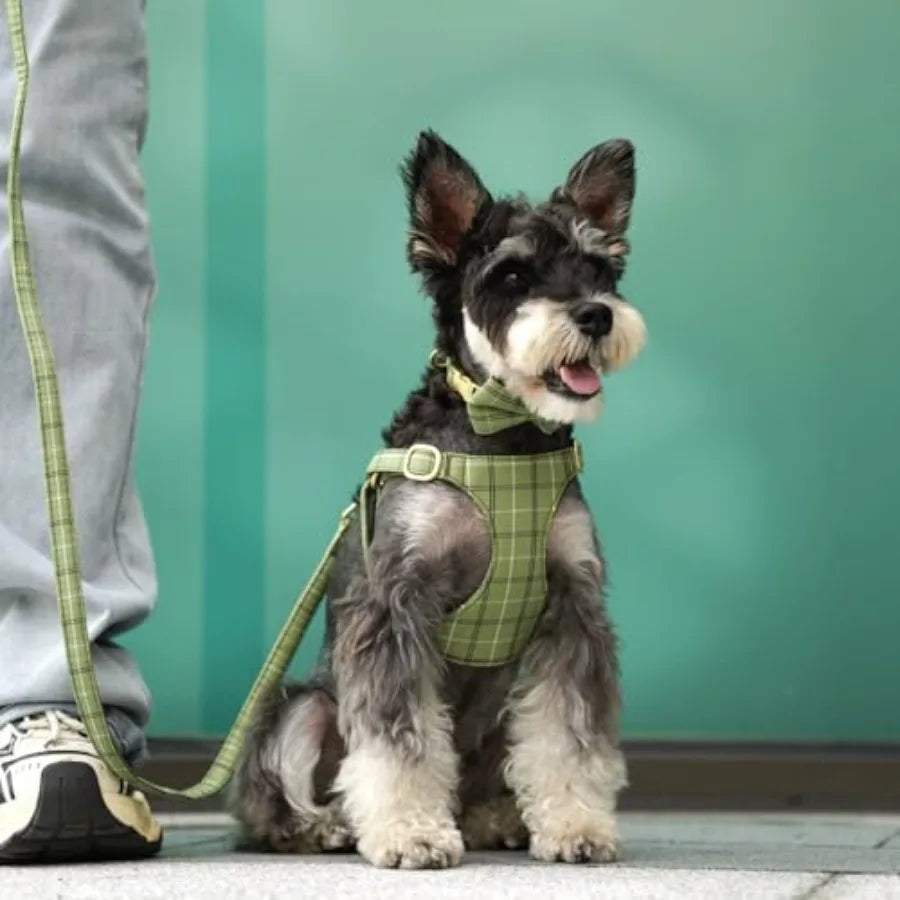 Arnés, collar y correa para mascotas pequeños con pajarita de poliéster suave y ajustable
