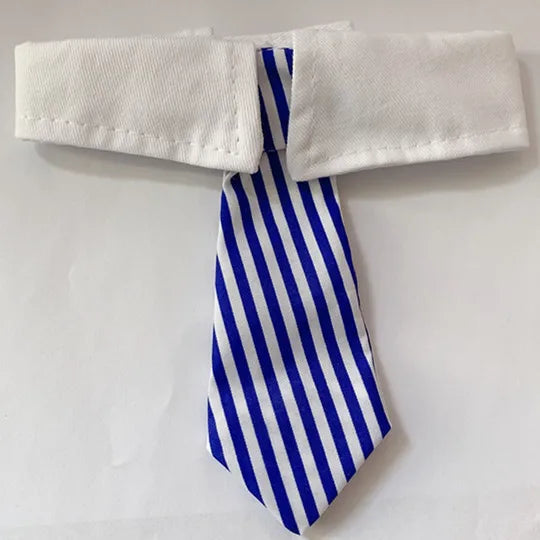 Corbata Formal para Perro y Gato – Collar Elegante para Halloween, Bodas y Fiestas