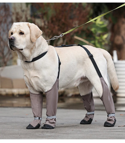 Botas Antideslizantes para Perro con Correas de Sujeción