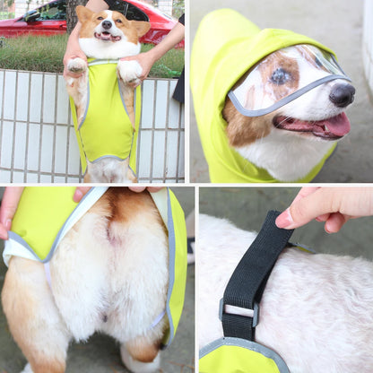 Chubasquero Verde Fluorescente con Capucha para Perros