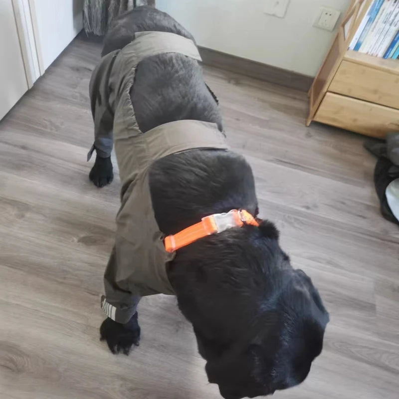 Chubasquero de Cuerpo Completo para Perros Medianos y Grandes