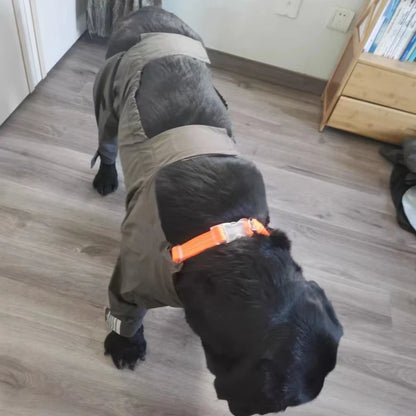 Chubasquero de Cuerpo Completo para Perros Medianos y Grandes