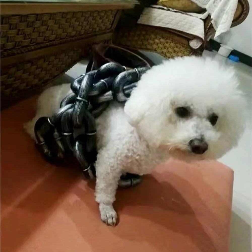 Correa (SOLO LA CADENA) Cadena de Hierro Simulada para Perros – Diseño Grueso y Resistente