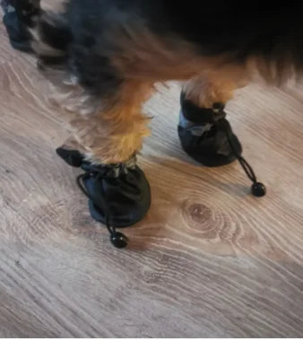 Botas Impermeables para Perros, Juego de 4 Zapatos Antideslizantes para Lluvia