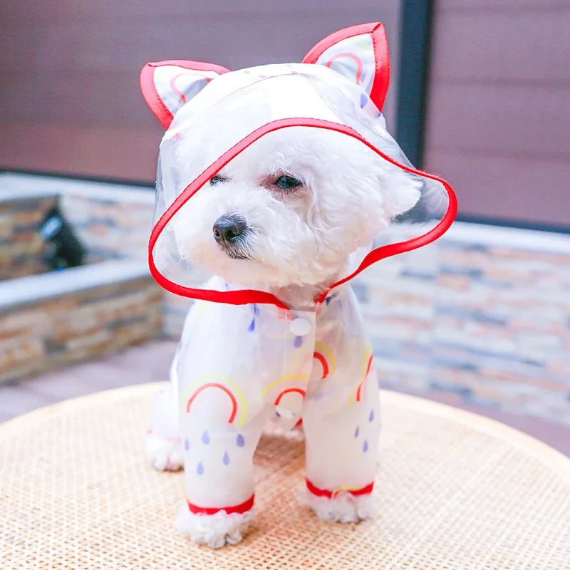 Chubasquero Transparente con Capucha para Perro Pequeño