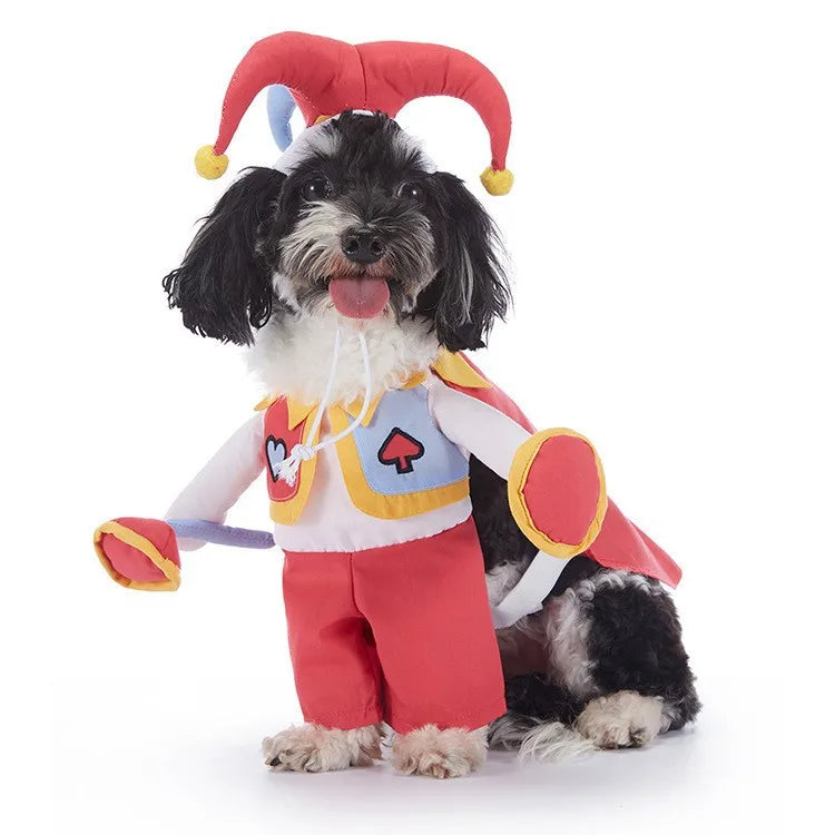 Disfraces de Halloween para Perros - Vampiro, Murciélago, Bufón y Más